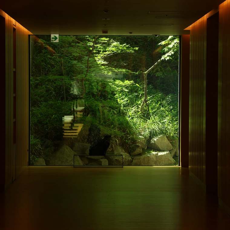 A wood-lined corridor ending in a window onto a green garden
