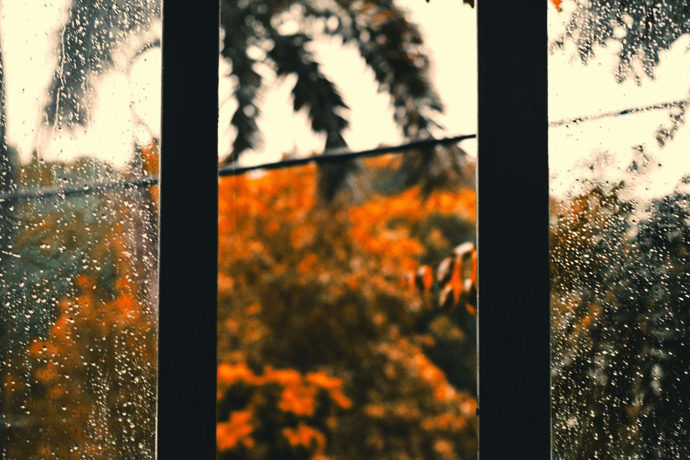 Rain on a window with autumn leaves beyond it