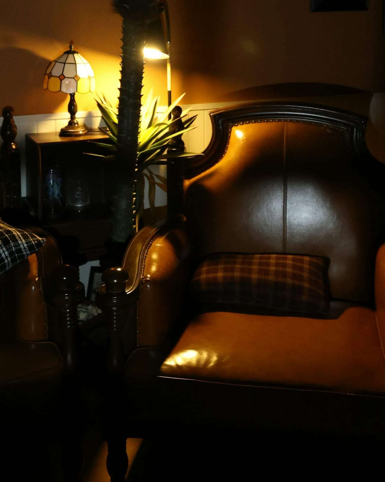 Two leather club chairs in lamplight beneath a palm